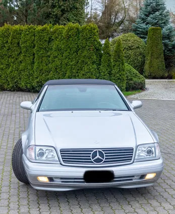 mercedes benz sl kalisz Mercedes-Benz SL cena 119500 przebieg: 260000, rok produkcji 2001 z Kalisz